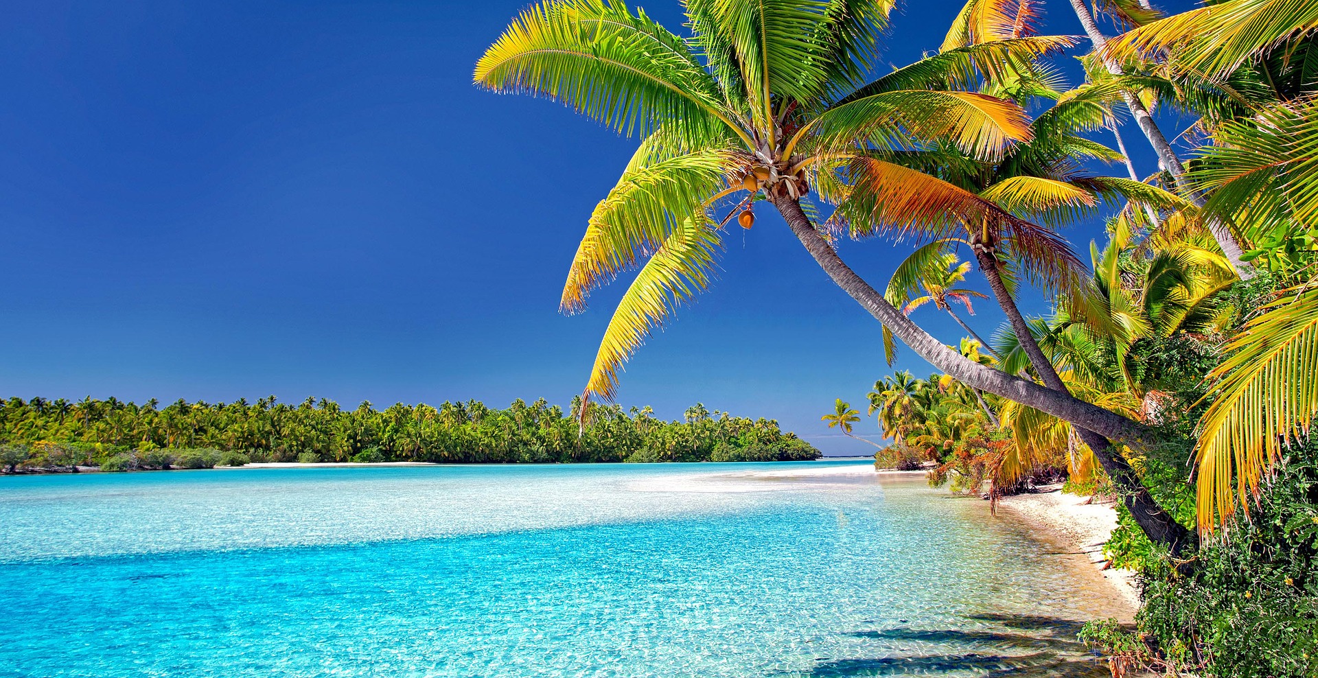 Bild HRL Palmen und Strand Julius Silver pixabay (1)